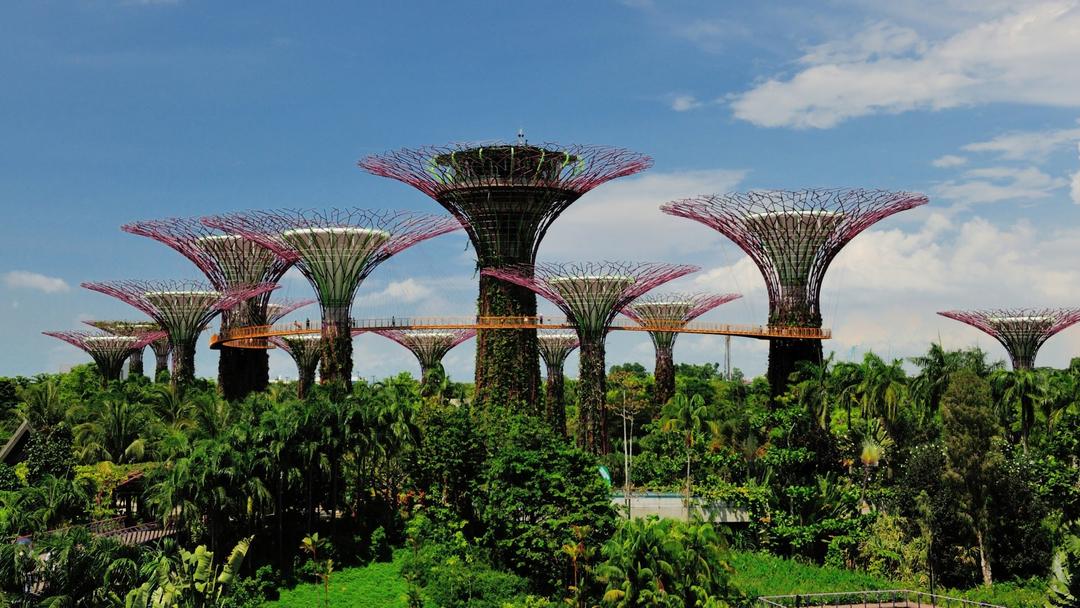 Gardens By The Bay