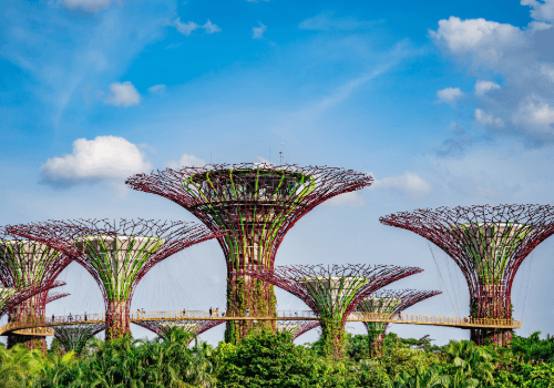 Singapore City Tour