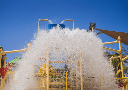 Adventure Cove Waterpark