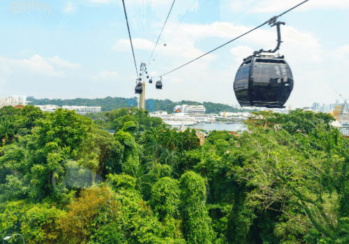 Rainforest Wild ASIA