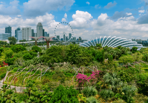 Gardens by the Bay