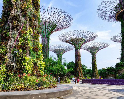 Singapore Botanic Gardens