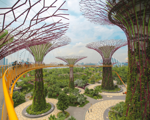 Singapore Botanic Gardens