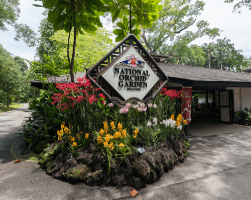 National Orchid Garden