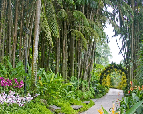National Orchid Garden
