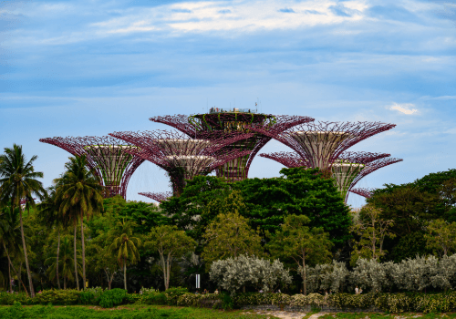 Gardens by the Bay