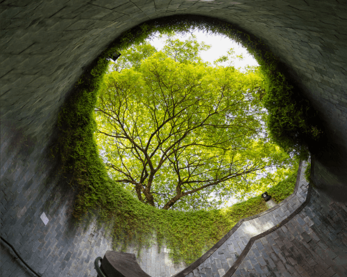 Fort Canning Park