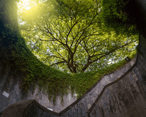Fort Canning Park
