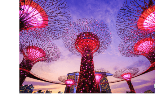 Gardens by the Bay