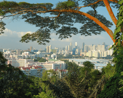 Mount Faber Park