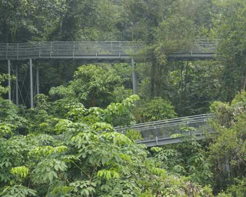 Southern Ridges Walk