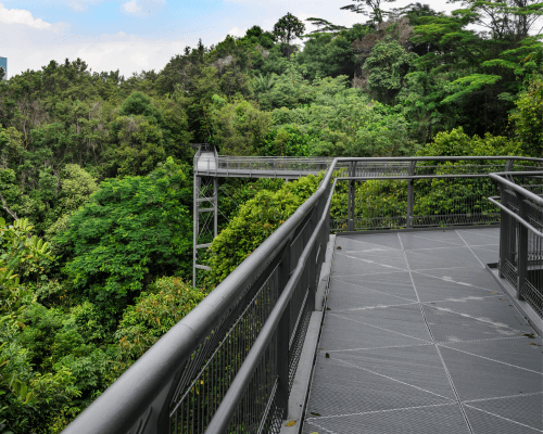 Southern Ridges Walk